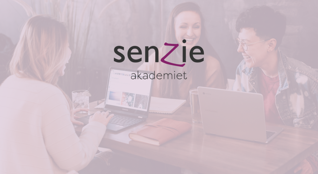 senzie akademiet gruppe bilde